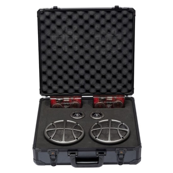 DLS Scandinavia Pro 2way, 16.5 см + 30 мм, 150W RMS
